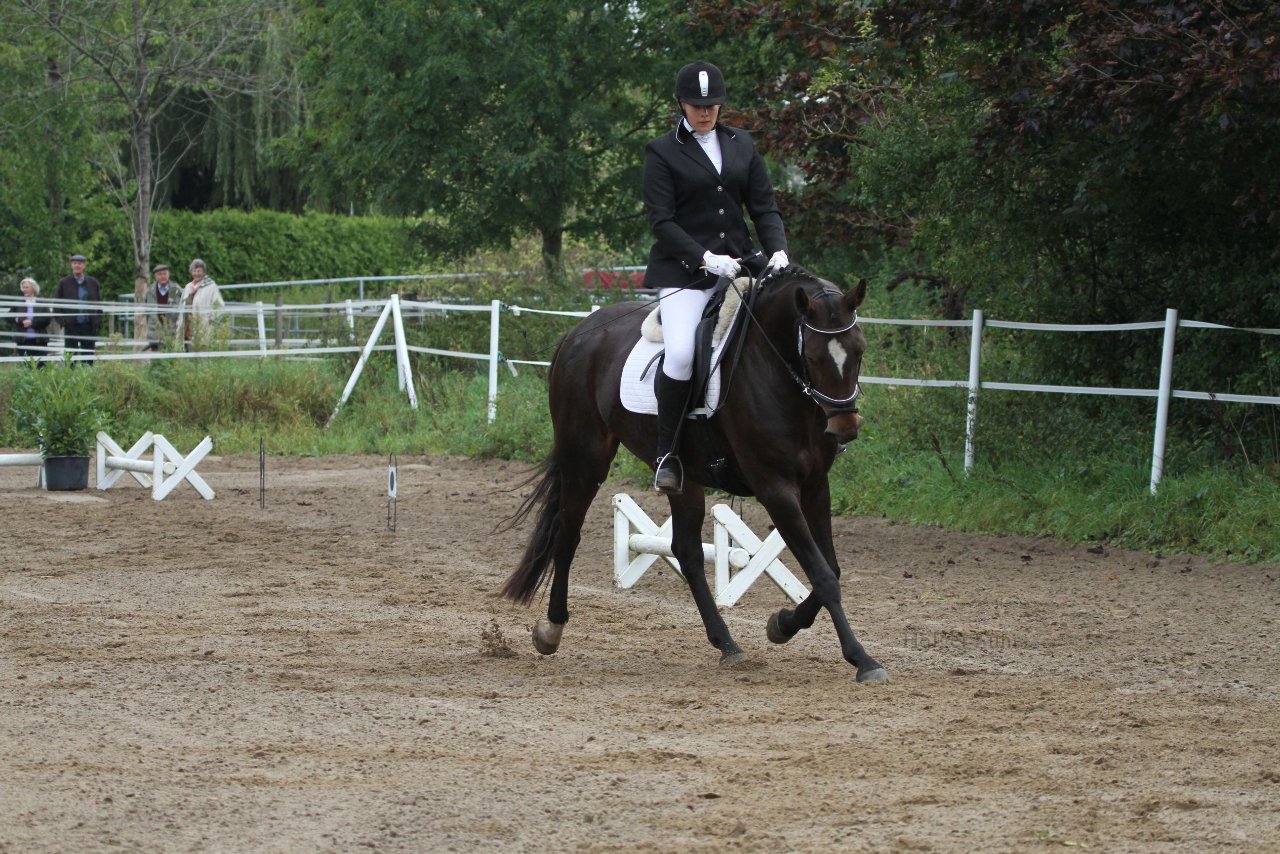 Bild 171 - WBO-Turnier am 18.9.11